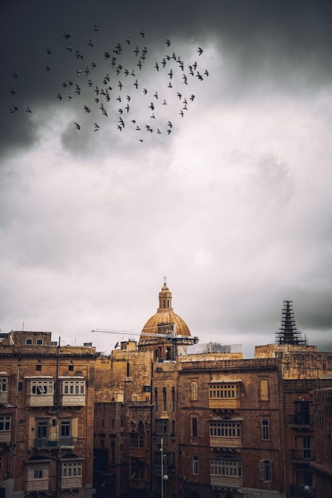 a flock of birds flying over a large building